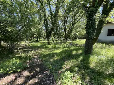 Insel Krk, Gostinjac - Haus auf einem Grundstück von 2900 m² - 4