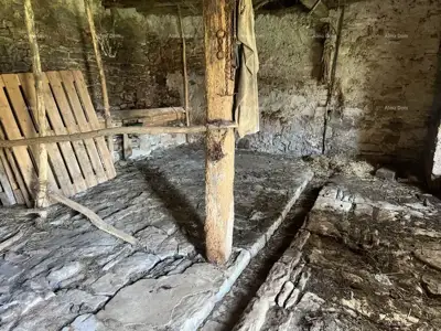Altes Steinhaus in Istrien, Buje - 7