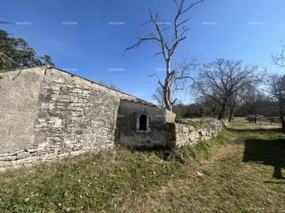 Altes Steinhaus in Istrien, Buje - 12