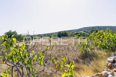 Poljoprivredno zemljište 1.683 m², Vinišće - mirna lokacija - 11