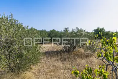 Poljoprivredno zemljište 1.683 m², Vinišće - mirna lokacija - 17