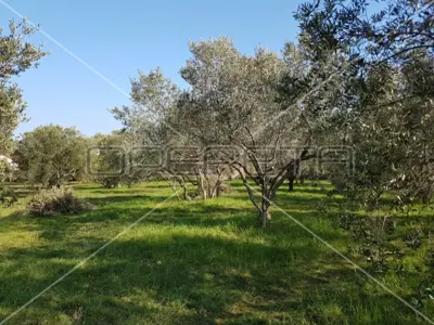 Građevinsko zemljište, Sukošan, mirna zona blizu centra