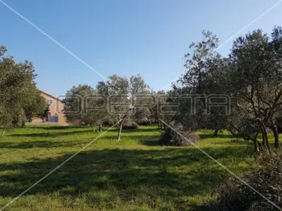 Građevinsko zemljište, Sukošan, mirna zona blizu centra - 2