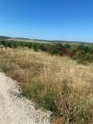 Land 2,070 m², Kožlovac near Benkovac - along the main road