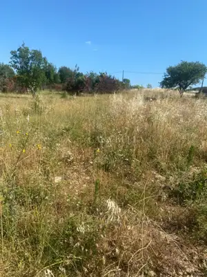 Grundstück 2.070 m², Kožlovac bei Benkovac - an der Hauptverkehrsstraße - 2