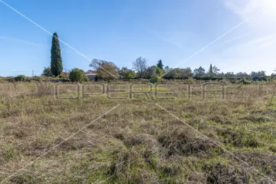 Building land 590 m², Marčana - flat and regular shape - 3