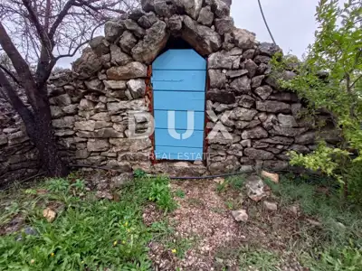 Landwirtschaftliches Anwesen, Zaton bei Šibenik - Olivenhain und Obstgarten - 22