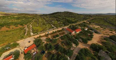 Landwirtschaftliches Anwesen, Zaton bei Šibenik - Olivenhain und Obstgarten