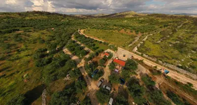 Landwirtschaftliches Anwesen, Zaton bei Šibenik - Olivenhain und Obstgarten - 4