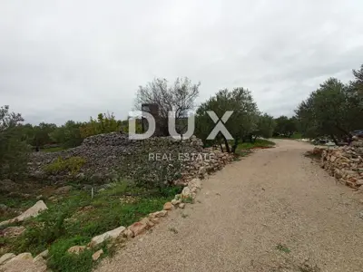 Landwirtschaftliches Anwesen, Zaton bei Šibenik - Olivenhain und Obstgarten - 21
