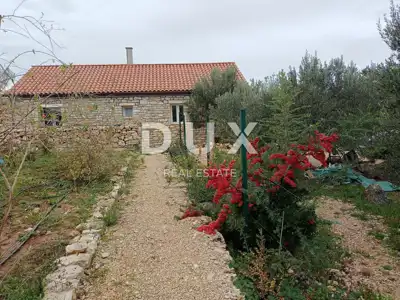 Landwirtschaftliches Anwesen, Zaton bei Šibenik - Olivenhain und Obstgarten - 17