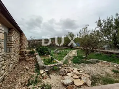 Landwirtschaftliches Anwesen, Zaton bei Šibenik - Olivenhain und Obstgarten - 19