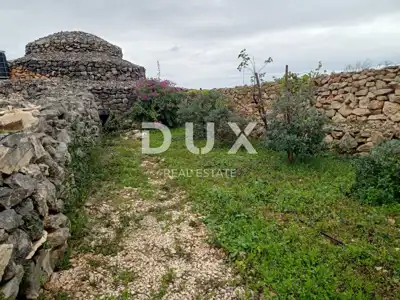 Landwirtschaftliches Anwesen, Zaton bei Šibenik - Olivenhain und Obstgarten - 16