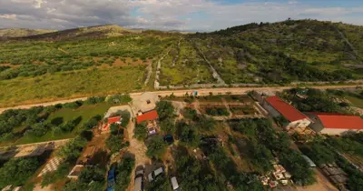 Landwirtschaftliches Anwesen, Zaton bei Šibenik - Olivenhain und Obstgarten - 2