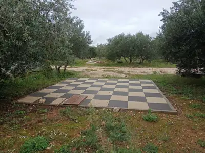 Landwirtschaftliches Anwesen, Zaton bei Šibenik - Olivenhain und Obstgarten - 6
