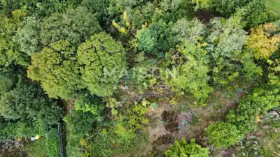Land plot for sale in Bivio - 3