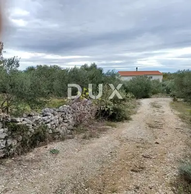 Baugrundstück 1.860 m², Kukljica - ruhige Lage - 5
