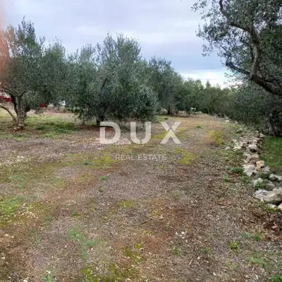 Baugrundstück 1.860 m², Kukljica - ruhige Lage