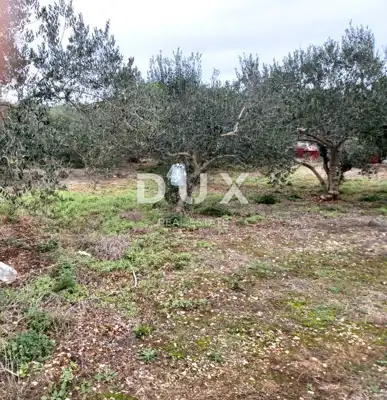Baugrundstück 1.860 m², Kukljica - ruhige Lage - 6