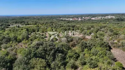 Land 32,686 m², Vodnjan - peace and privacy - 3