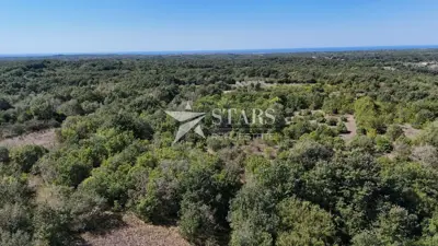 Land 32,686 m², Vodnjan - peace and privacy - 4