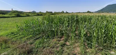 Land 21 354 m², Zaprešić Center, industrial zone - 5