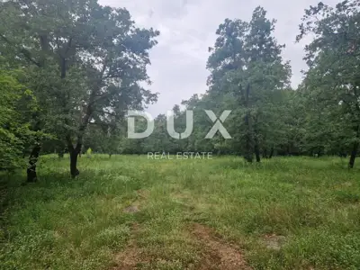 Landwirtschaftsland, Sveti Lovreč - 9.646 m², eingezäunt - 3