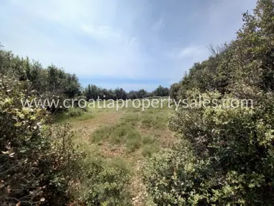 Agricultural land 30,200 m², Brač Island - south side - 3