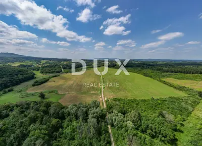 House 315 m², Blatuša, Gvozd - established agricultural estate - 9