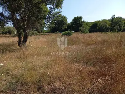 Građevinsko zemljište 4.707 m², Labin - ravno i pravilno - 6