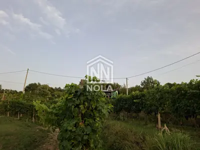 Imanje 70 m², Ivanec Kaniža - etno kuća i vinograd - 6