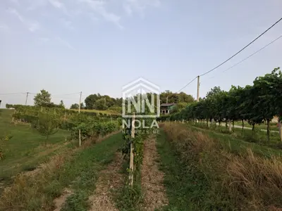 Imanje 70 m², Ivanec Kaniža - etno kuća i vinograd - 5