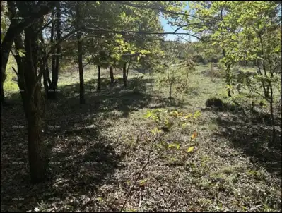 GRAĐEVINSKO ZEMLJIŠTE BLIZU LABINA – 1.361 m² - 2