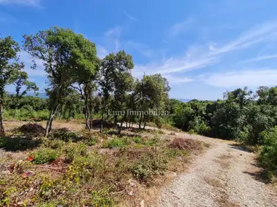 Poljoprivredno zemljište s pogledom na more - Kavran - 8