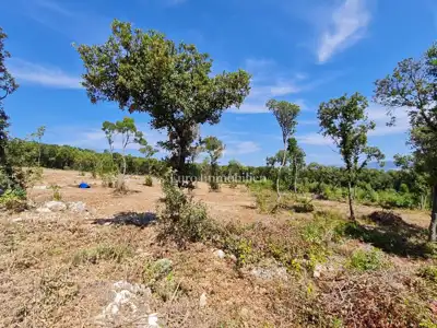 Poljoprivredno zemljište s pogledom na more - Kavran - 11
