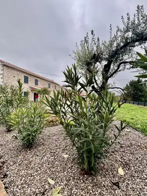 Vila u Barbanu, bazen 50 m² i mediteranska okućnica - 2