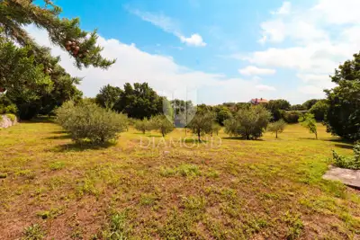 Poreč, okolica, istarska kamena kuća u mirnom mjestu! - 6