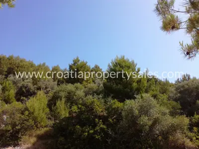 Zemljište, Brač, 5 000 m², 850 000 € - 8