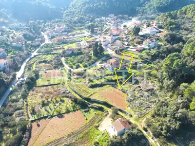 Building land 3 112 m², Dol, quiet location near Stari Grad - 15