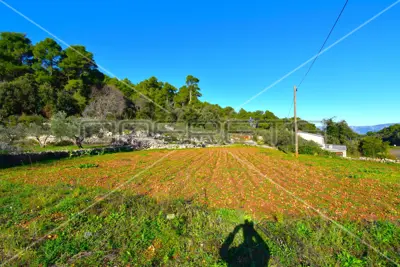 Building land 3 112 m², Dol, quiet location near Stari Grad - 8