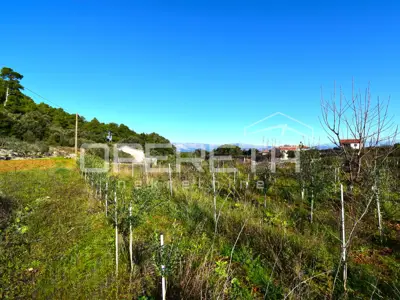 Baugrundstück 3 112 m², Dol, ruhige Lage in der Nähe von Stari Grad - 16
