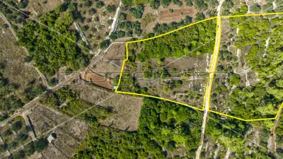 Landwirtschaftsfläche 8 846 m², Vela Luka, ruhige Lage - 4