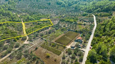 Landwirtschaftsfläche 8 846 m², Vela Luka, ruhige Lage - 2
