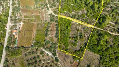 Landwirtschaftsfläche 8 846 m², Vela Luka, ruhige Lage - 3