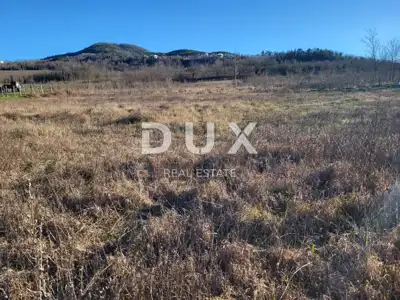 Poljoprivredno zemljište 16.849 m², Motovun - pogled na Motovun