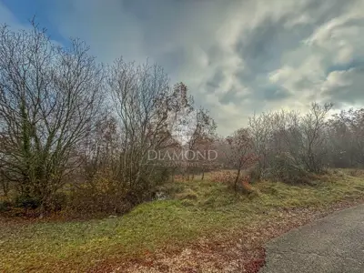 Forest 8,000 m², Motovun - peaceful location and view - 6