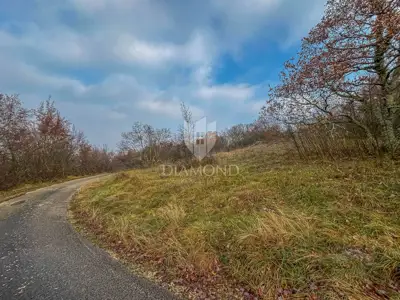 Forest 8,000 m², Motovun - peaceful location and view - 5
