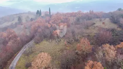 Forest 8,000 m², Motovun - peaceful location and view - 7