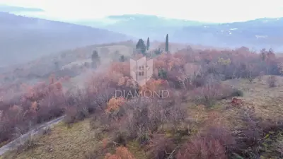 Forest 8,000 m², Motovun - peaceful location and view