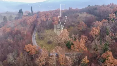 Forest 8,000 m², Motovun - peaceful location and view - 2